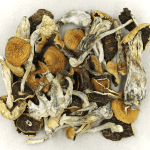 Full Moon Party | Mushroom Coffee Canada
