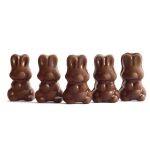 Alice - Mushroom Milk Chocolate - 2.5g | Mushroom Coffee Canada