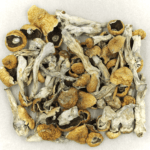 Orissa | Mushroom Coffee Canada