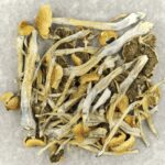 Trinity | Mushroom Coffee Canada