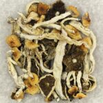 Cuban | Mushroom Coffee Canada