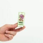 Wonder – Psilocybin Chocolate Bar – Dark Chocolate | Mushroom Coffee Canada