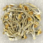 Hautla | Mushroom Coffee Canada