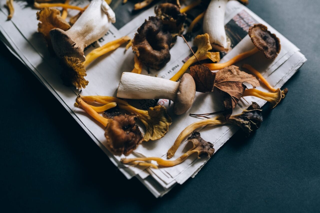Do Mushrooms and Chocolate Make a Good Combination?