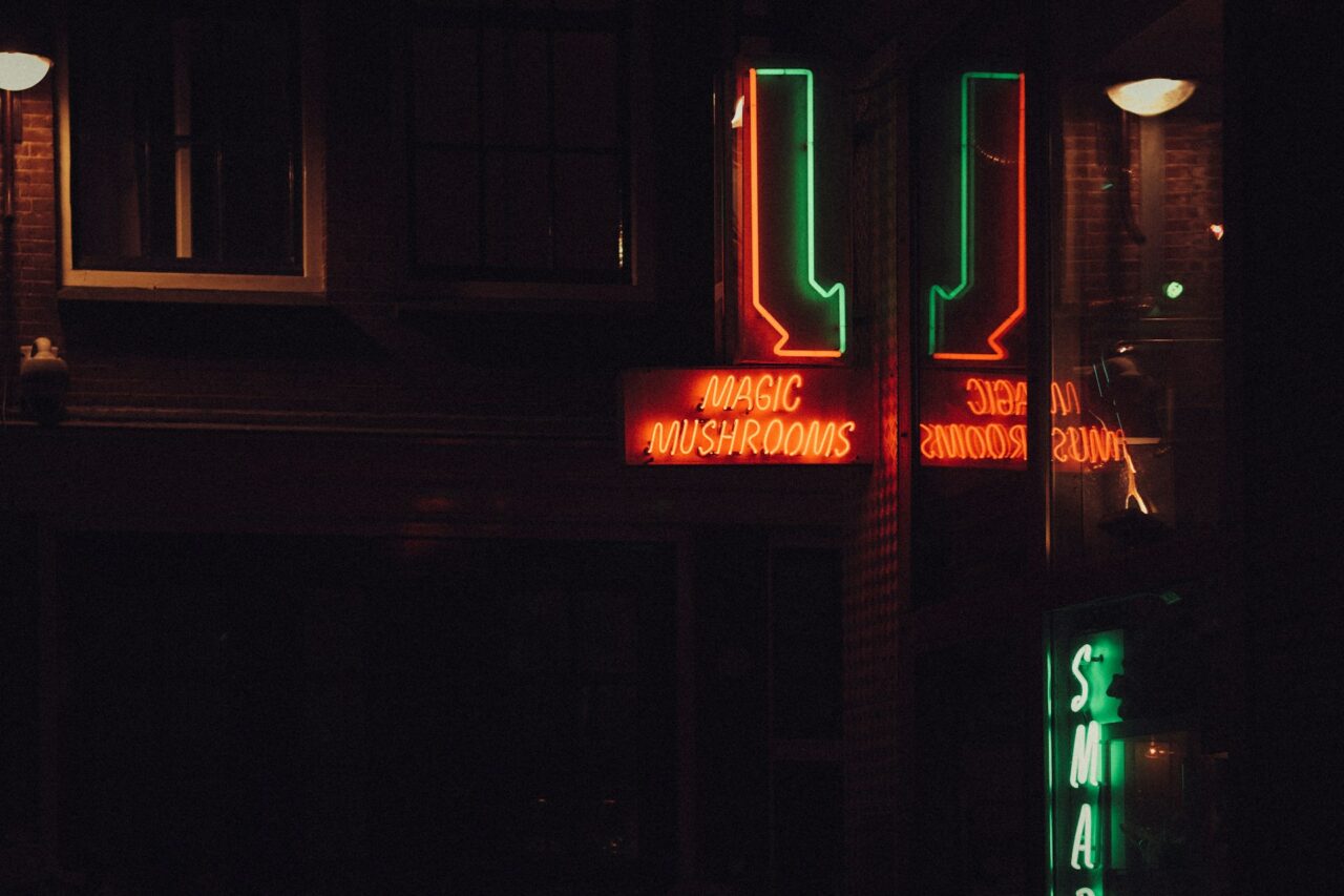 Vancouver Mushroom Dispensary – Canada’s Progress in Matching the US Shroom Surge?
